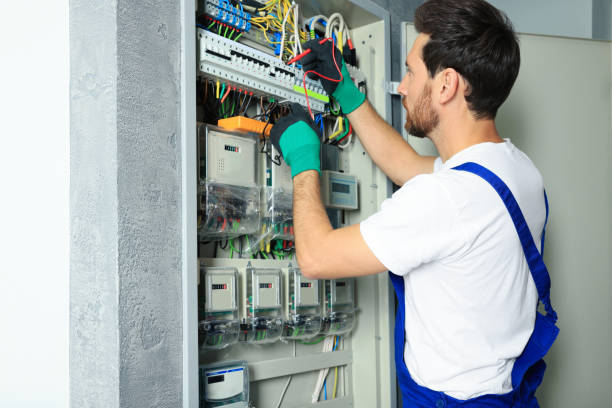 Best Electric Panel Repair  in Brinckerhoff, NY
